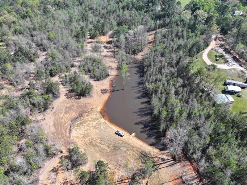 Moonlight Springs 78 : Banks : Pike County : Alabama