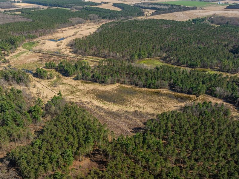 76.65 Acres Trempealeau County : Osseo : Trempealeau County : Wisconsin