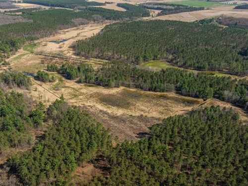 76.65 Acres Trempealeau County : Osseo : Trempealeau County : Wisconsin