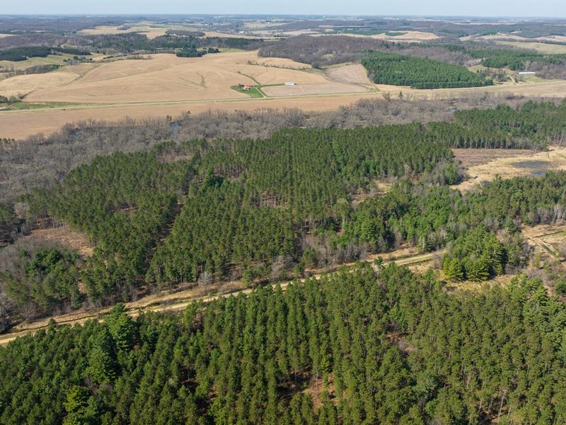 97.42 Acres Trempealeau County : Osseo : Trempealeau County : Wisconsin