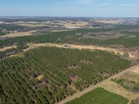 247.26 Acres Trempealeau County : Osseo : Trempealeau County : Wisconsin