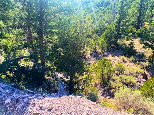 5.13 Acres Colorado Land for Sale : Fort Garland : Costilla County : Colorado