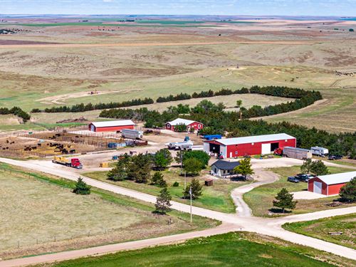 Tri State Plains Ranch : Bird City : Cheyenne County : Kansas
