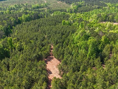 26 Acres in Tallapoosa Co, Homes : Alexander City : Tallapoosa County : Alabama