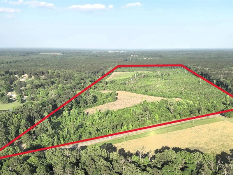 103 Acres in Rankin County in Brand : Brandon : Rankin County : Mississippi