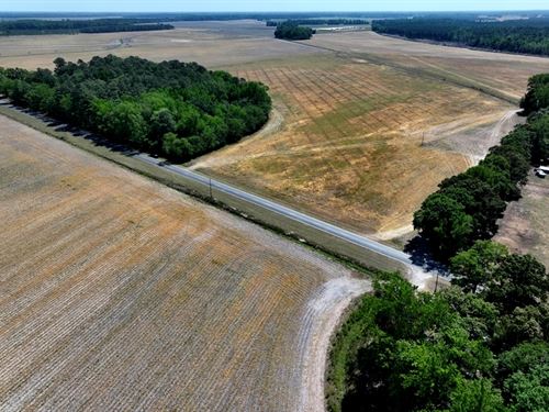 Beautiful Land Ready for Farming : Red Springs : Hoke County : North Carolina