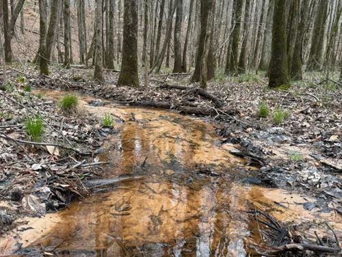 25 Acres in Choctaw County, MS : Ackerman : Choctaw County : Mississippi
