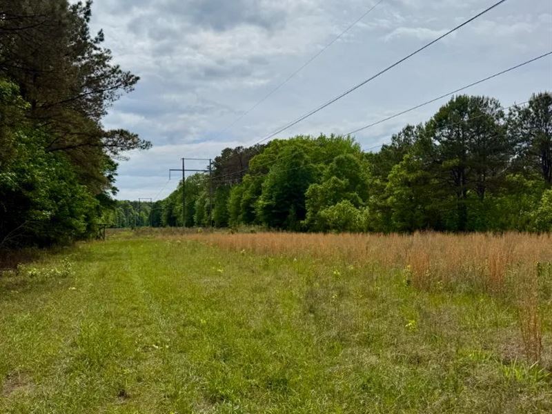 48 Acres in Oktibbeha County, MS : Starkville : Oktibbeha County : Mississippi