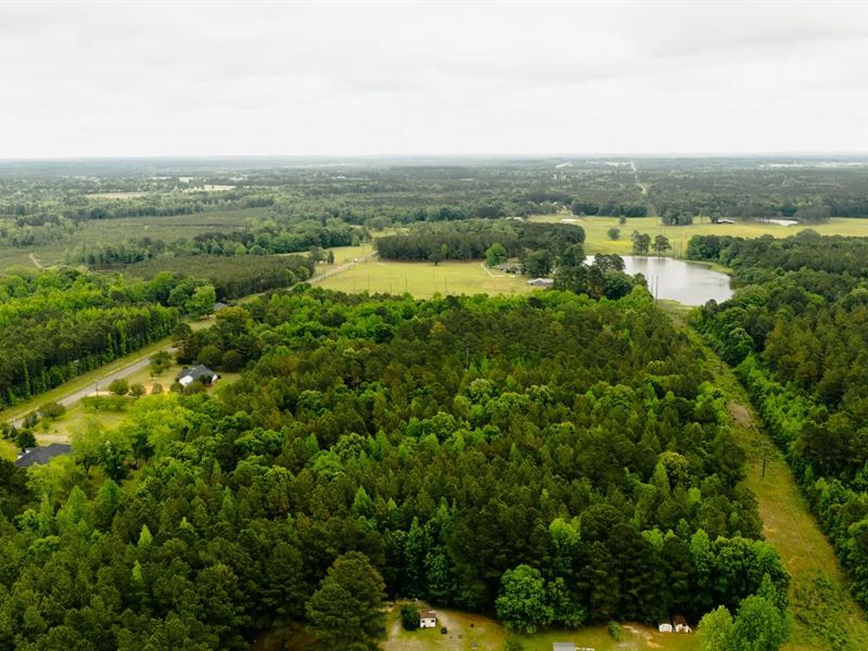 20.5 Acres in Winston County, MS : Louisville : Winston County : Mississippi