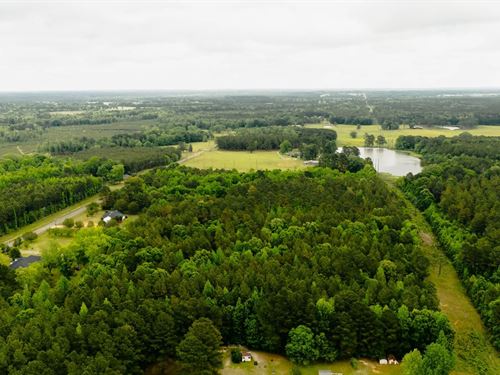 20.5 Acres in Winston County, MS : Louisville : Winston County : Mississippi
