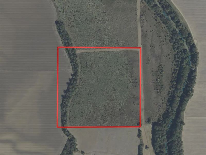 38 Acres in West Carroll Parish, LA : Oak Grove : West Carroll Parish : Louisiana