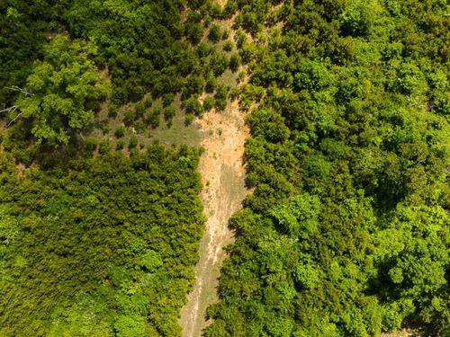 20 Acres in Winston County, MS : Louisville : Winston County : Mississippi