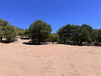 5.58 Acres in Costilla, CO $269/Mo : Fort Garland : Costilla County : Colorado