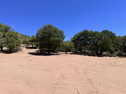 5.58 Acres in Costilla, CO $269/Mo : Fort Garland : Costilla County : Colorado