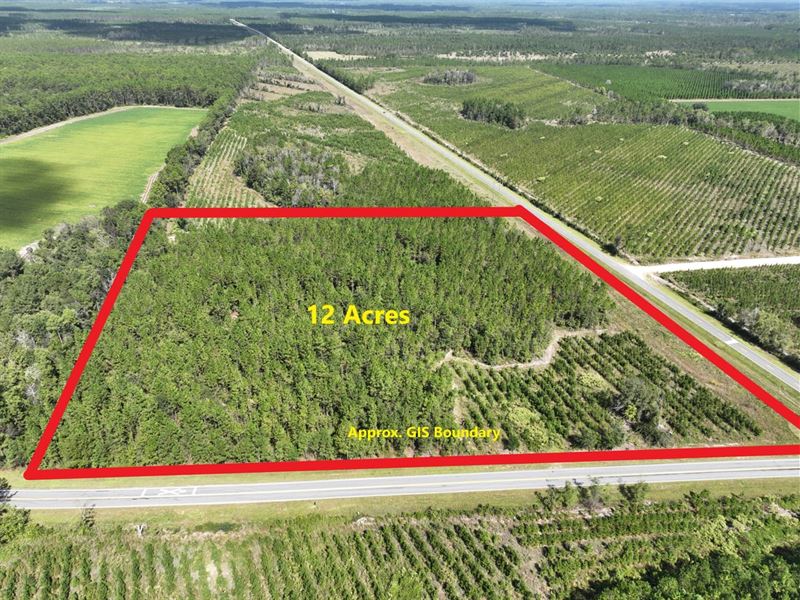 12 Acres Jamestown Rd and Dixie Uni : Waycross : Ware County : Georgia