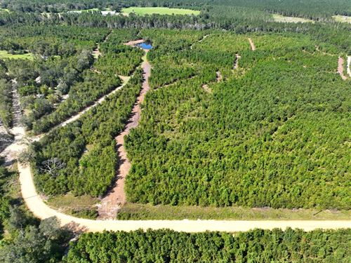 7 Ac Land For Sale in Toombs Co : Lyons : Toombs County : Georgia