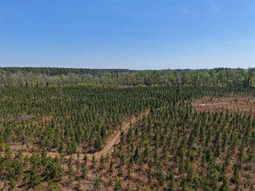 30.32 Ac Land For Sale in Camde : White Oak : Camden County : Georgia