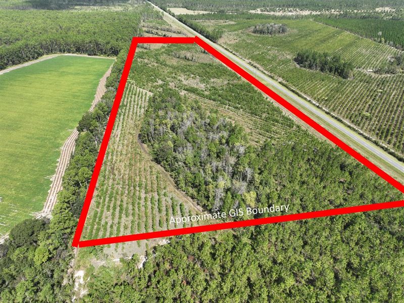 21.84 Acres Jamestown Rd : Waycross : Ware County : Georgia