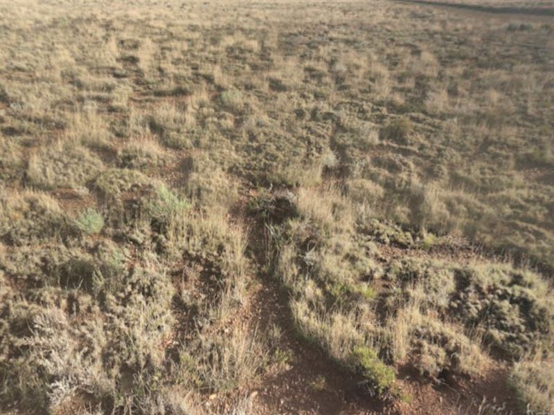 5.34 Acres Waiting for You : Mesita : Costilla County : Colorado