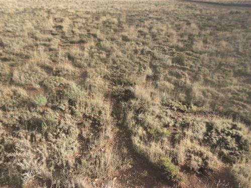 5.34 Acres Waiting for You : Mesita : Costilla County : Colorado