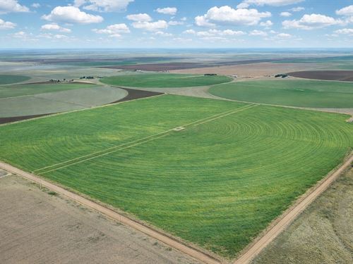 Beautiful 10 Acres in New Home : Tahoka : Lynn County : Texas