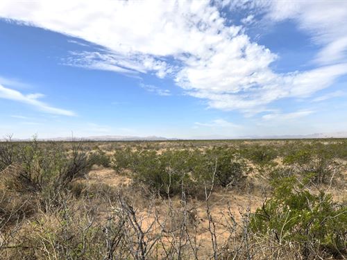 Camp, Build, Invest & Explore Texas : Van Horn : Culberson County : Texas