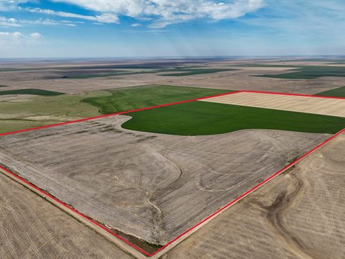 Lane County 311 : Dighton : Lane County : Kansas
