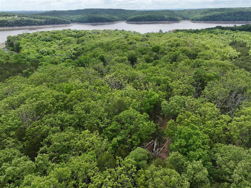 2 Secluded Lots on Bull Shoals Lake : Cedarcreek : Boone County : Missouri