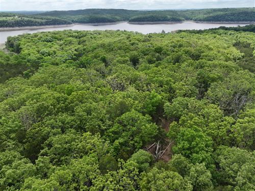2 Secluded Lots on Bull Shoals Lake : Cedarcreek : Boone County : Missouri