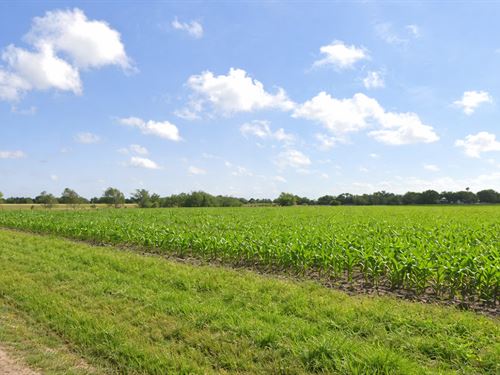 Beautiful 10 Acres in Santa Rosa : Santa Rosa : Cameron County : Texas