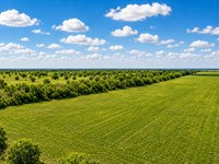 Beautiful 10 Acres in Orange Grove : Robstown : Nueces County : Texas