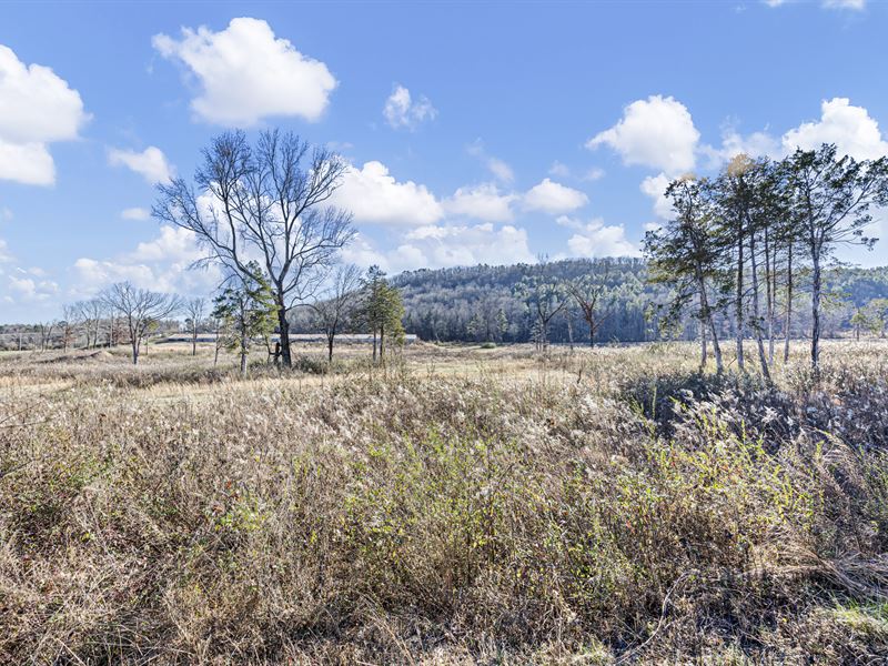 Tract 3 Booger Hollow Rd : Dover : Pope County : Arkansas