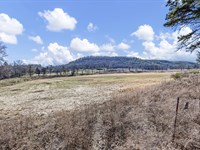 Tract 5 Booger Hollow Rd : Dover : Pope County : Arkansas