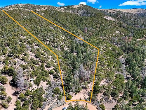 Private Treed Hills, Valley Views : Fort Garland : Costilla County : Colorado