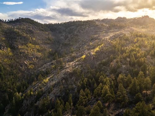 Adduce Ranch : Florissant : Park County : Colorado