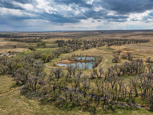 Cottonwood Creek Farm : Agate : Elbert County : Colorado