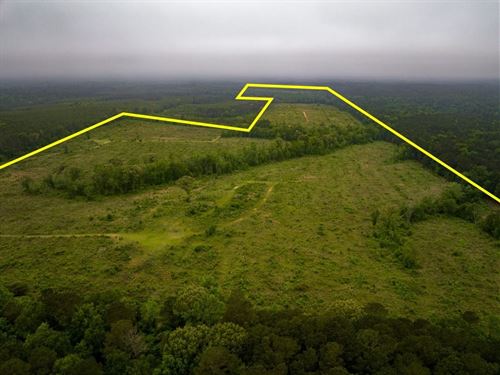 194 Acres, FM 1857 : Rusk : Cherokee County : Texas