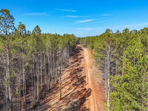 10.25 Acres in Oak Bowery, Spaci : Lafayette : Chambers County : Alabama