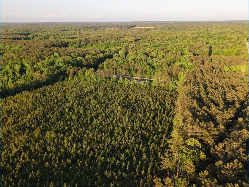42.5 Acres Tract 1 in Choctaw Cou : Stewart : Choctaw County : Mississippi