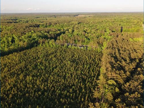 42.5 Acres Tract 1 in Choctaw Cou : Stewart : Choctaw County : Mississippi