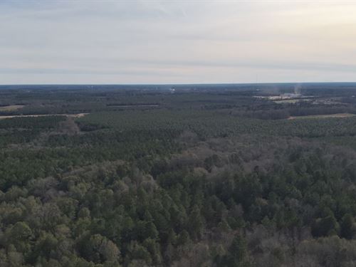 Bccc Lot 4 : Sylvania : Screven County : Georgia