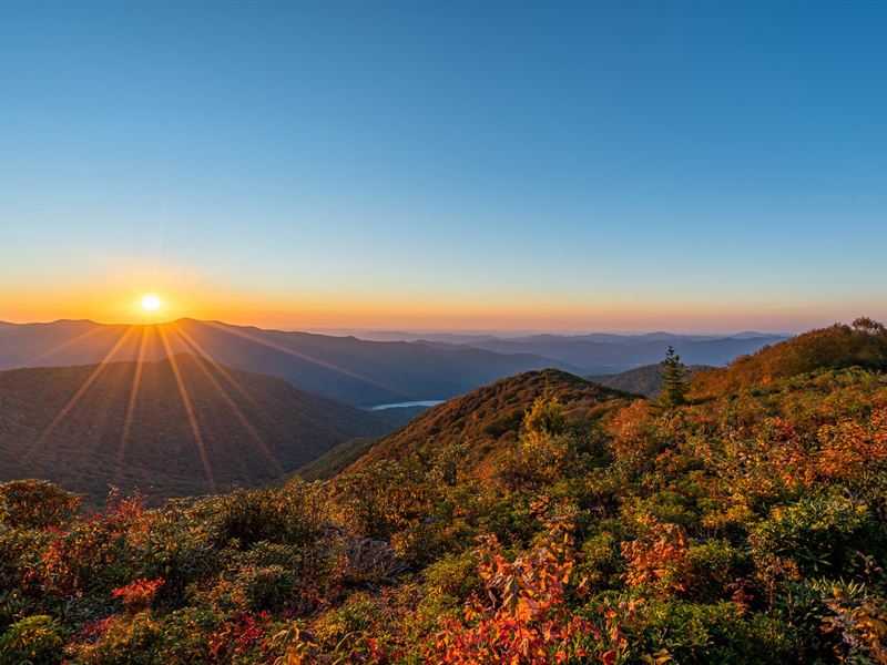 Idyllic & Private 8 Ac Mtn Retreat : Murphy : Cherokee County : North Carolina