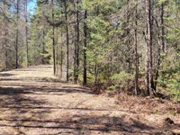 Oneida County 35 Plus AC Parcel : Newbold : Oneida County : Wisconsin