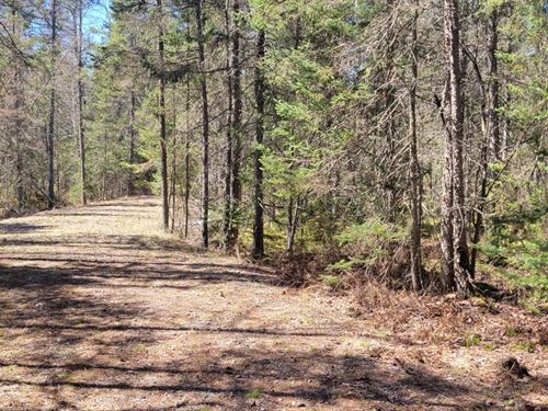 Oneida County 35 Plus AC Parcel : Newbold : Oneida County : Wisconsin