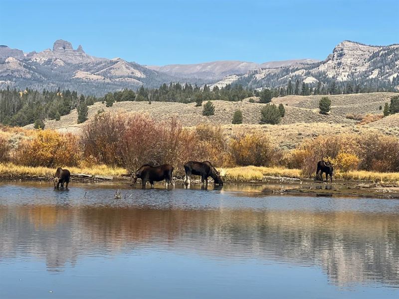 Moose Willow Ranch : Arapahoe : Fremont County : Wyoming