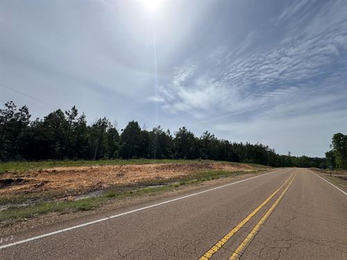 43 Acres in Calhoun County, MS : Banner : Calhoun County : Mississippi