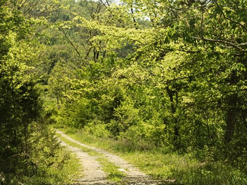 1,500 Acres in Claiborne/Hancock Co : Tazewell : Claiborne County : Tennessee