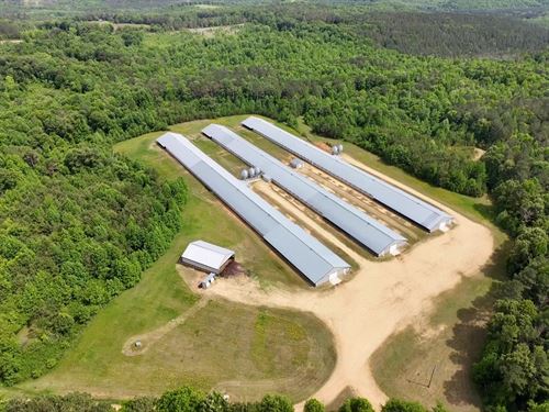 Highway 19 Broiler Farm : Vina : Franklin County : Alabama