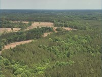 113 Acres in Smith County in Pulask : Pulaski : Smith County : Mississippi
