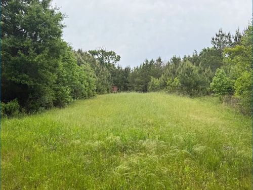 72 Acres in Pike County in McComb : McComb : Pike County : Mississippi